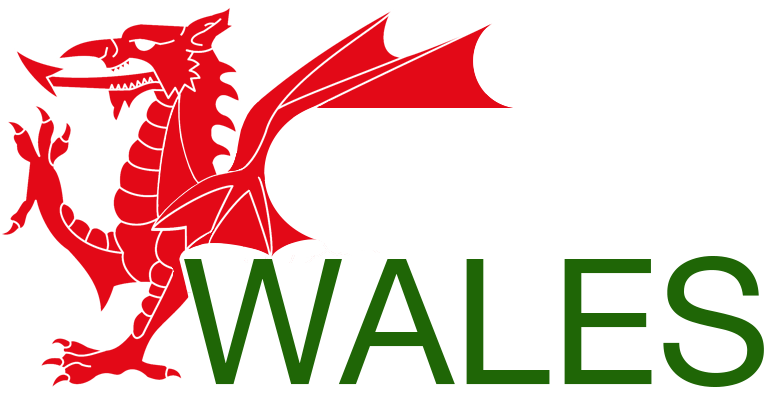 Cyber Wales logo
